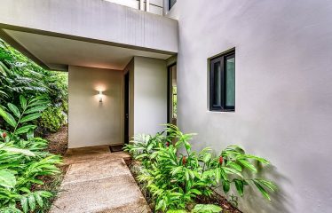 OCEAN VIEW VILLA IN TERRACES AT SAN MARTIN