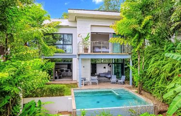 OCEAN VIEW VILLA IN TERRACES AT SAN MARTIN