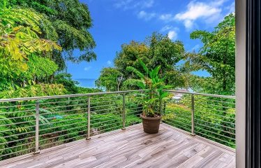 OCEAN VIEW VILLA IN TERRACES AT SAN MARTIN