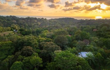 CASA SIRENA PROPERTY WITH TWO BEDROOM IN THE MIDDLE IN THE NATURE, IN OJOCHAL – 1.3 ACRES