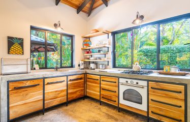 CASA SIRENA PROPERTY WITH TWO BEDROOM IN THE MIDDLE IN THE NATURE, IN OJOCHAL – 1.3 ACRES