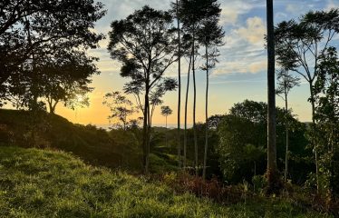 MOUNTAIN PROPERTY WITH OCEAN VIEWS AND SUNSET, IN OJOCHAL – 1.92 ACRES