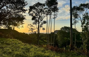 TWO EXCLUSIVE LOTS WITH PANORAMIC OCEAN AND SUNSET VIEWS, IN OJOCHAL – 5.32 ACRES