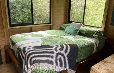 CASA SIRENA PROPERTY WITH TWO BEDROOM IN THE MIDDLE IN THE NATURE, IN OJOCHAL – 1.3 ACRES