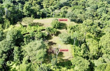 TWO EXCLUSIVE LOTS WITH PANORAMIC OCEAN AND SUNSET VIEWS, IN OJOCHAL – 5.32 ACRES