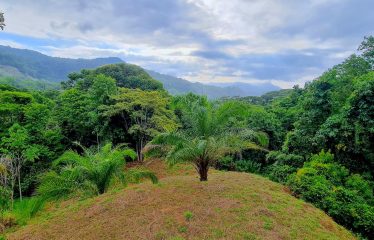 BUILDING PROPERTY WITH OCEAN VIEWS, IN PUERTO NUEVO – 2.22 ACRES