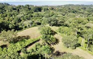 TWO EXCLUSIVE LOTS WITH PANORAMIC OCEAN AND SUNSET VIEWS, IN OJOCHAL – 5.32 ACRES
