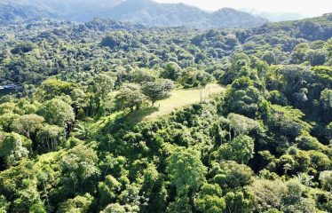 PROPERTY WITH OCEAN VIEWS AND SUNSET, IN OJOCHAL – 3.40 ACRES