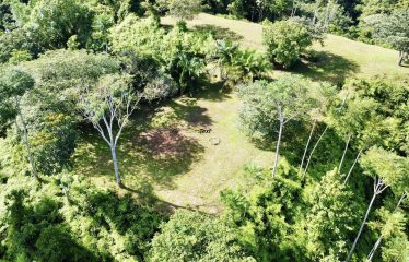 TWO EXCLUSIVE LOTS WITH PANORAMIC OCEAN AND SUNSET VIEWS, IN OJOCHAL – 5.32 ACRES