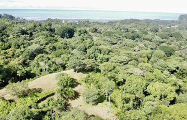 TWO EXCLUSIVE LOTS WITH PANORAMIC OCEAN AND SUNSET VIEWS, IN OJOCHAL – 5.32 ACRES