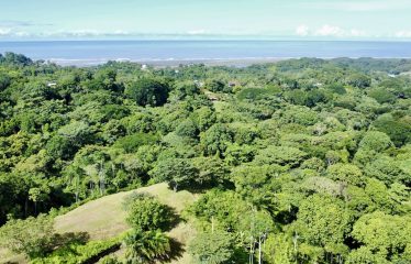 PROPERTY WITH OCEAN VIEWS AND SUNSET, IN OJOCHAL – 3.40 ACRES