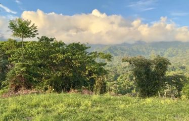 MOUNTAIN PROPERTY WITH OCEAN VIEWS AND SUNSET, IN OJOCHAL – 1.92 ACRES