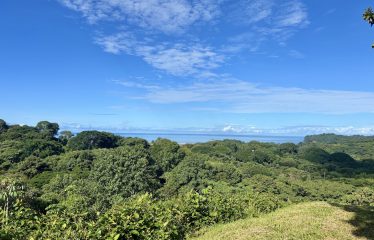 PROPERTY WITH OCEAN VIEWS AND SUNSET, IN OJOCHAL – 3.40 ACRES