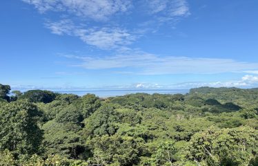 PROPERTY WITH OCEAN VIEWS AND SUNSET, IN OJOCHAL – 3.40 ACRES