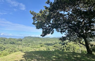 PROPERTY WITH OCEAN VIEWS AND SUNSET, IN OJOCHAL – 3.40 ACRES