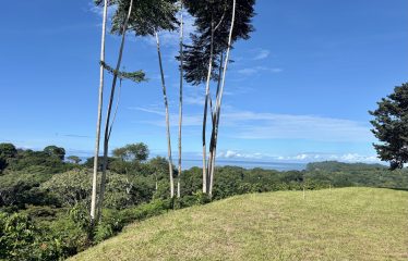 TWO EXCLUSIVE LOTS WITH PANORAMIC OCEAN AND SUNSET VIEWS, IN OJOCHAL – 5.32 ACRES