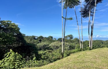 PROPERTY WITH OCEAN VIEWS AND SUNSET, IN OJOCHAL – 3.40 ACRES