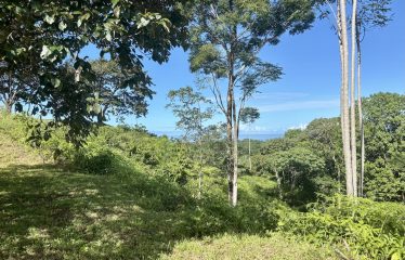 MOUNTAIN PROPERTY WITH OCEAN VIEWS AND SUNSET, IN OJOCHAL – 1.92 ACRES