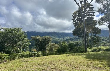 TWO EXCLUSIVE LOTS WITH PANORAMIC OCEAN AND SUNSET VIEWS, IN OJOCHAL – 5.32 ACRES