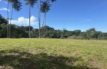 TWO EXCLUSIVE LOTS WITH PANORAMIC OCEAN AND SUNSET VIEWS, IN OJOCHAL – 5.32 ACRES