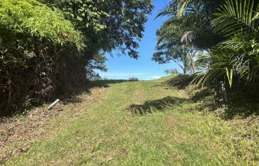 PROPERTY WITH OCEAN VIEWS AND SUNSET, IN OJOCHAL – 3.40 ACRES