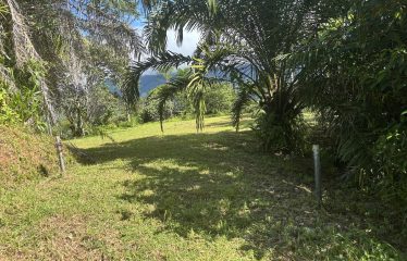 TWO EXCLUSIVE LOTS WITH PANORAMIC OCEAN AND SUNSET VIEWS, IN OJOCHAL – 5.32 ACRES