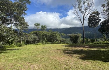 MOUNTAIN PROPERTY WITH OCEAN VIEWS AND SUNSET, IN OJOCHAL – 1.92 ACRES