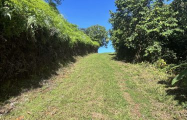 TWO EXCLUSIVE LOTS WITH PANORAMIC OCEAN AND SUNSET VIEWS, IN OJOCHAL – 5.32 ACRES