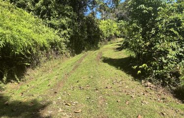 PROPERTY WITH OCEAN VIEWS AND SUNSET, IN OJOCHAL – 3.40 ACRES