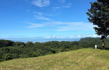 PROPERTY WITH OCEAN VIEWS AND SUNSET, IN OJOCHAL – 3.40 ACRES