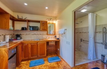 HOTEL PROPERTY WITH EIGHT BEDROOMS IN THE MOUNTAINS, IN TRES RIOS – 5.03 ACRES