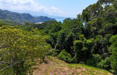 BUILDING PROPERTY WITH OCEAN VIEWS, IN PUERTO NUEVO – 2.22 ACRES