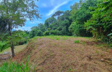 BUILDING PROPERTY WITH OCEAN VIEWS, IN PUERTO NUEVO – 2.22 ACRES