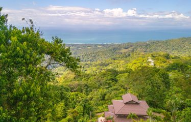 PROPERTY WITH AMAZING WHALE TAIL VIEW 3 BEDROOM HOME, IN UVITA – 1.58 ACRES
