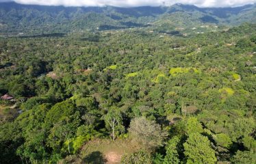 TWO EXCLUSIVE LOTS WITH PANORAMIC OCEAN AND SUNSET VIEWS, IN OJOCHAL – 5.32 ACRES