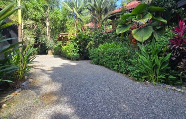 HOTEL PROPERTY WITH TEN BEDROOM AND POOL, IN OJOCHAL – 0.44 ACRES