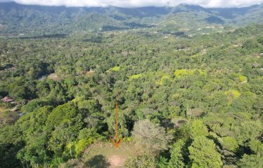 MOUNTAIN PROPERTY WITH OCEAN VIEWS AND SUNSET, IN OJOCHAL – 1.92 ACRES