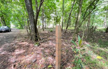 BUILDING PROPERTY A STEPS OF THE BEACH, IN BAHIA BALLENA – 0.37 ACRES