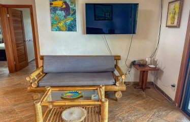 MOUNTAIN PROPERTY WITH A GUEST HOUSE WITH BEAUTIFUL VIEWS OF THE NATURE, IN BARU – 3.53 ACRES