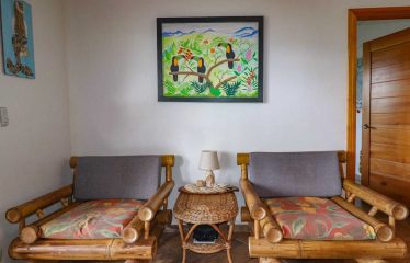 MOUNTAIN PROPERTY WITH A GUEST HOUSE WITH BEAUTIFUL VIEWS OF THE NATURE, IN BARU – 3.53 ACRES