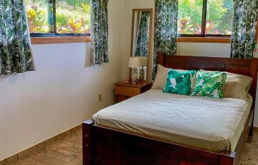 MOUNTAIN PROPERTY WITH A GUEST HOUSE WITH BEAUTIFUL VIEWS OF THE NATURE, IN BARU – 3.53 ACRES