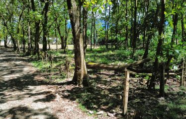 BUILDING PROPERTY A STEPS OF THE BEACH, IN BAHIA BALLENA – 0.37 ACRES