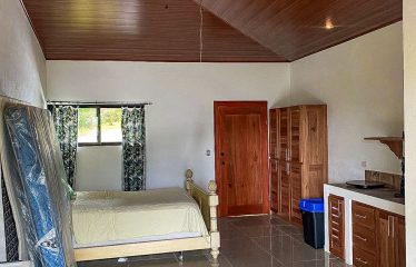 MOUNTAIN PROPERTY WITH A GUEST HOUSE WITH BEAUTIFUL VIEWS OF THE NATURE, IN BARU – 3.53 ACRES