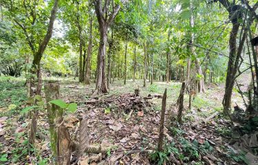 BUILDING PROPERTY A STEPS OF THE BEACH, IN BAHIA BALLENA – 0.37 ACRES