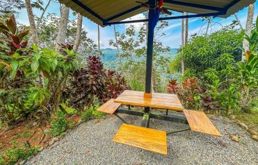 MOUNTAIN PROPERTY WITH A GUEST HOUSE WITH BEAUTIFUL VIEWS OF THE NATURE, IN BARU – 3.53 ACRES