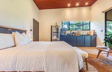 VILLA SOMBRA PROPERTY WITH FIVE BEDROOMS AND FOREST VIEWS, IN LA ALFOMBRA – 2.5 ACRES