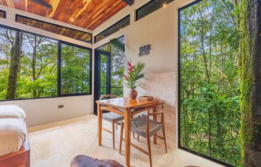 VILLA SOMBRA PROPERTY WITH FIVE BEDROOMS AND FOREST VIEWS, IN LA ALFOMBRA – 2.5 ACRES