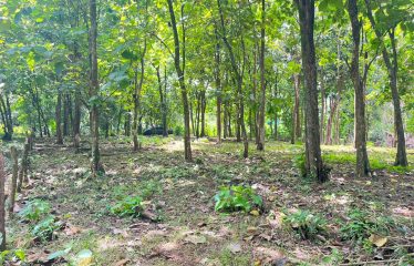 BUILDING PROPERTY A STEPS OF THE BEACH, IN BAHIA BALLENA – 0.37 ACRES