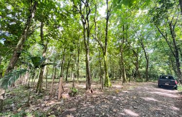 BUILDING PROPERTY A STEPS OF THE BEACH, IN BAHIA BALLENA – 0.37 ACRES