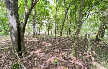 BUILDING PROPERTY A STEPS OF THE BEACH, IN BAHIA BALLENA – 0.37 ACRES